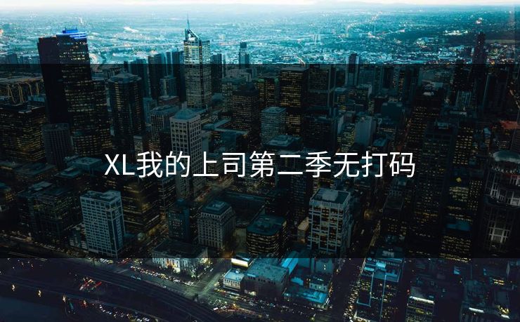 XL我的上司第二季无打码