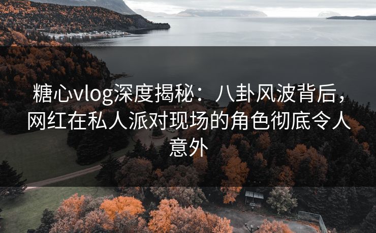 糖心vlog深度揭秘：八卦风波背后，网红在私人派对现场的角色彻底令人意外